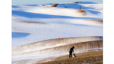 palouse [남향] 2