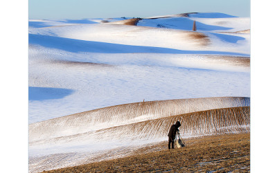 palouse [남향] 2