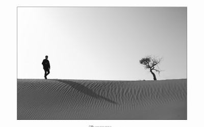 열정