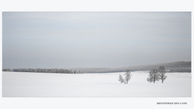 THE WINTER