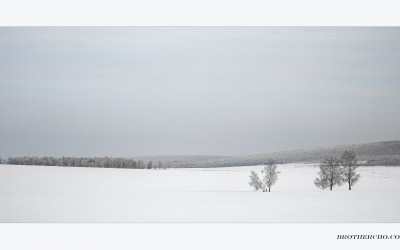 THE WINTER