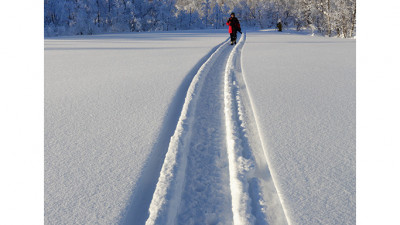 Snow Road