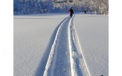 Snow Road