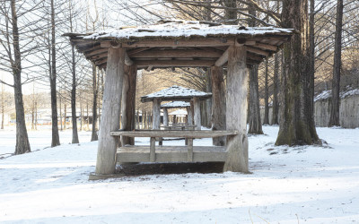 담양 메타세콰이어 길에서~~