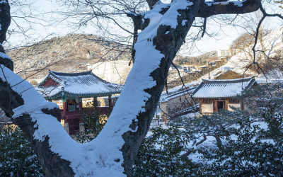 고창읍성에서.