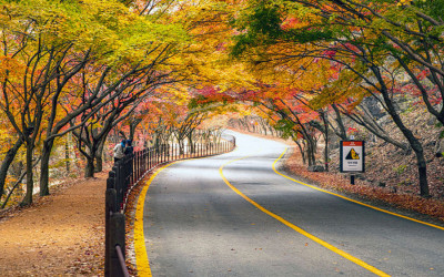 정읍 내장사 단풍~~