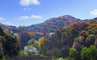산벗꽃.