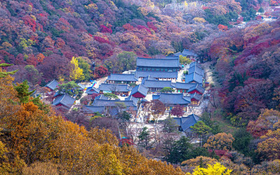 백양사 전경.