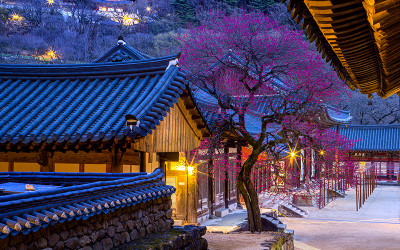 화엄사 야경