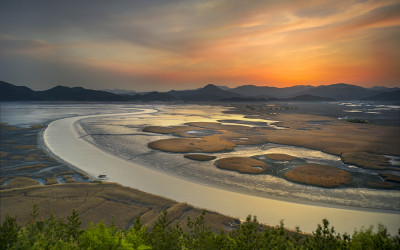 순천만