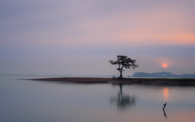 미인송2