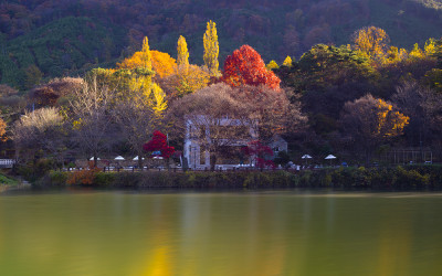 가을빛