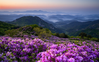 2022 황매산