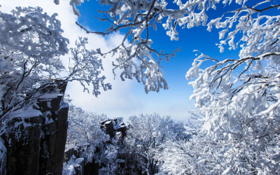 2010년1월 무등산 눈꽃..