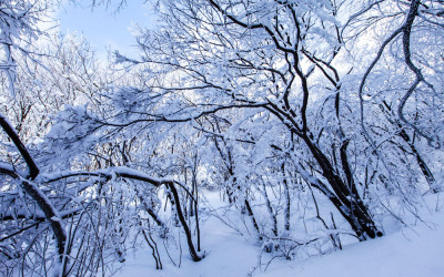 2010년1월  무등산 눈꽃...