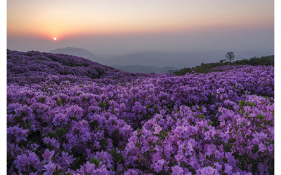 황메산