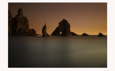 독도의 黎明