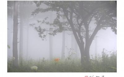 함백산