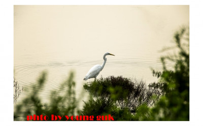 생존본능