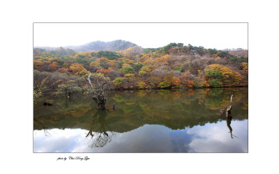 주산지의 아침