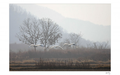소복한 눈을 기다리며.....