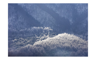 겨울 소경