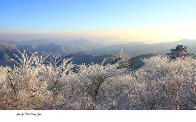태백산에서