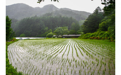전원풍경