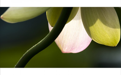 숨