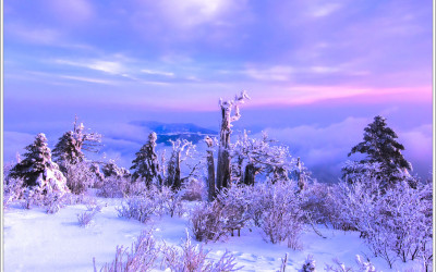 태백산 여명