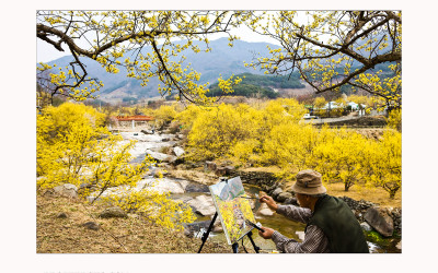 꽃 피는 봄이오면