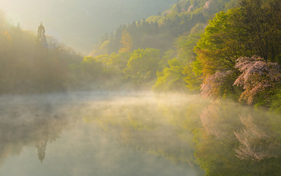 세량지의 봄