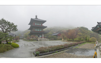 비오는