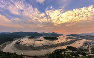 화려한 노을