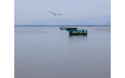 한자리 해변