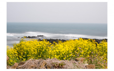 우도의 바람