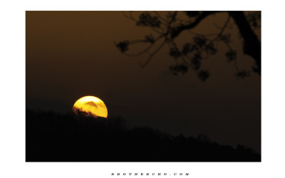 벚꽃 SUNSET