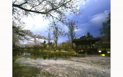 一場春夢