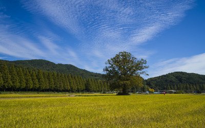 순창이 참좋다.