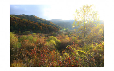 인제 비밀의 정원
