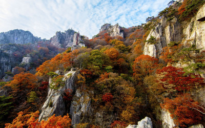 대둔산 단풍.