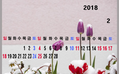 튜울립 달력