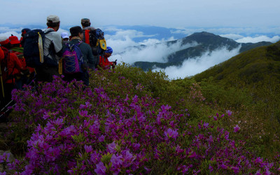 지리산 철쭉과운해 산행.