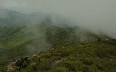지리산 만복대 안개.