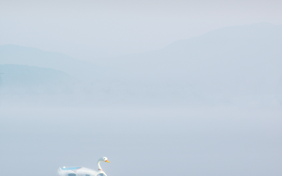 오리의 꿈