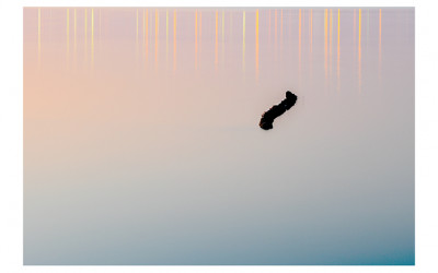 오늘