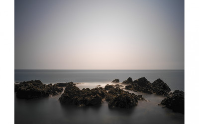 함께모여
