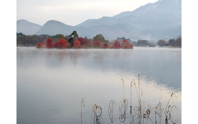 주천