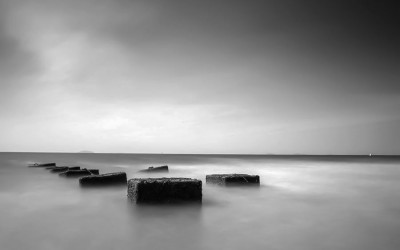 The see