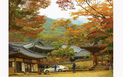 순천 송광사 가을
